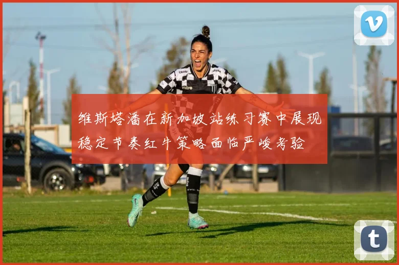 维斯塔潘在新加坡站练习赛中展现稳定节奏红牛策略面临严峻考验